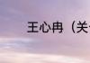 王心冉（关于王心冉的简述）