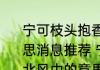 王氏太极拳（关于王氏太极拳的简述）