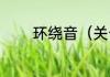 环绕音（关于环绕音的简述）