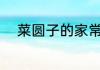 菜圆子的家常做法 菜圆子怎么做