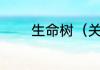 生命树（关于生命树的简述）