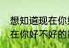 想知道现在你好不好（关于想知道现在你好不好的简单科普）