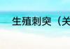 生殖刺突（关于生殖刺突的简述）