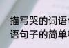 描写哭的词语句子（关于描写哭的词语句子的简单科普）