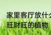 家里客厅放什么家旺财旺 家里客厅家旺财旺的植物
