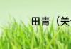 田青（关于田青的简述）