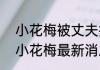 小花梅被丈夫折磨致精神分裂 2023小花梅最新消息现状