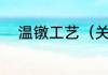 温镦工艺（关于温镦工艺的简述）