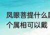 凤眼菩提什么属相可以戴 凤眼菩提哪个属相可以戴