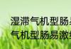 湿滞气机型肠易激综合征（关于湿滞气机型肠易激综合征的简述）