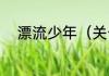 漂流少年（关于漂流少年的简述）