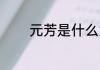 元芳是什么意思 元芳的含义