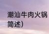 潮汕牛肉火锅（关于潮汕牛肉火锅的简述）