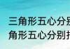 三角形五心分别指的是什么（关于三角形五心分别指的是什么的简单科普）