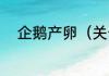 企鹅产卵（关于企鹅产卵的简述）