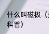 什么叫磁极（关于什么叫磁极的简单科普）