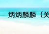 炳炳麟麟（关于炳炳麟麟的简述）