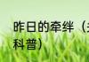 昨日的牵绊（关于昨日的牵绊的简单科普）