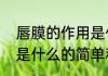唇膜的作用是什么（关于唇膜的作用是什么的简单科普）