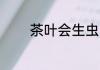 茶叶会生虫么 茶叶会生虫吗