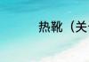 热靴（关于热靴的简述）