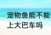 宠物鱼能不能带上大巴车 宠物鱼能带上大巴车吗