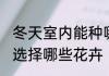 冬天室内能种哪些花卉 冬天室内可以选择哪些花卉