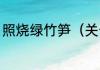 照烧绿竹笋（关于照烧绿竹笋的简述）