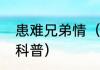 患难兄弟情（关于患难兄弟情的简单科普）