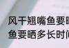 风干翘嘴鱼要晒多久才能吃 风干翘嘴鱼要晒多长时间才能吃
