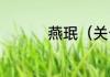 燕珉（关于燕珉的简述）