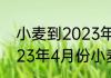 小麦到2023年4月份价格能涨吗  2023年4月份小麦的行情能上涨吗