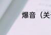 爆音（关于爆音的简述）