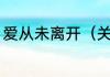 爱从未离开（关于爱从未离开的简述）