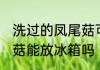 洗过的凤尾菇可以放冰箱保鲜吗 凤尾菇能放冰箱吗