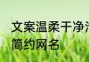 文案温柔干净治愈男生网名 男生干净简约网名