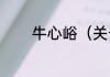 牛心峪（关于牛心峪的简述）