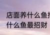 店面养什么鱼招财转运 做个体生意养什么鱼最招财