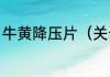 牛黄降压片（关于牛黄降压片的简述）