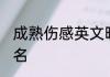 成熟伤感英文昵称 成熟伤感好听的网名