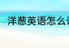 洋葱英语怎么说 洋葱的英文是什么