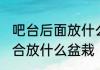 什么是广告设计? 广告设计是什么