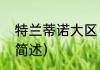 特兰蒂诺大区（关于特兰蒂诺大区的简述）