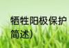 牺牲阳极保护（关于牺牲阳极保护的简述）