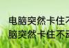 电脑突然卡住不动了怎么办（关于电脑突然卡住不动了怎么办的简单科普）