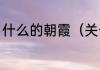 什么的朝霞（关于什么的朝霞的简述）