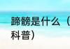 蹄髈是什么（关于蹄髈是什么的简单科普）