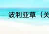 波利亚草（关于波利亚草的简述）