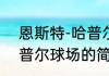 恩斯特-哈普尔球场（关于恩斯特-哈普尔球场的简单科普）