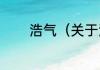 浩气（关于浩气的简单科普）